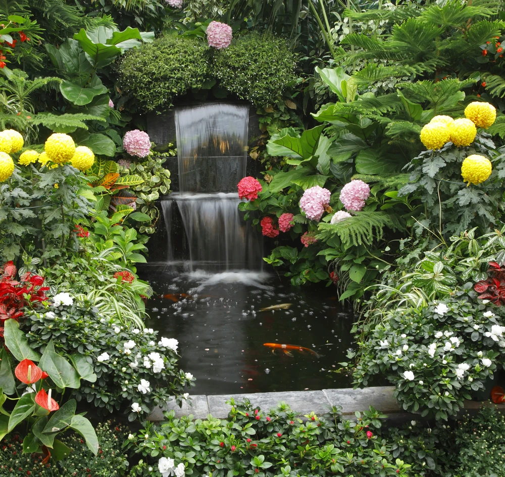 Jardin aquatique extérieur avec cascade artificielle intégrée dans un mur de pierre