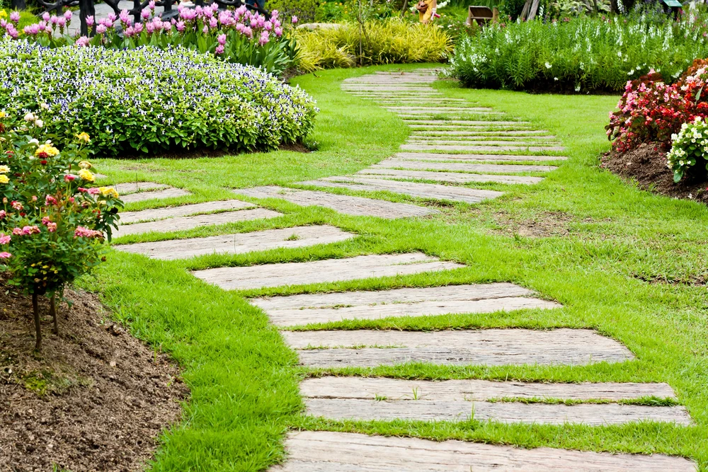 Jardin paysager avec allée en dalles de pierre naturelle rectangulaires posées sur pelouse verte