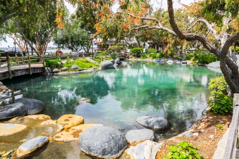 Jardin aquatique extérieur avec bassin aux eaux turquoise, bordé de rochers naturels et végétation luxuriante