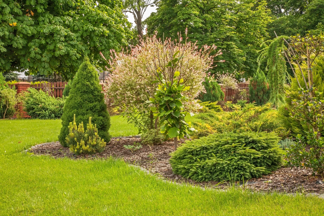 Jardin paysager ext&eacute;rieur avec bassin aquatique, cascade artificielle et am&eacute;nagement d&eacute;coratif