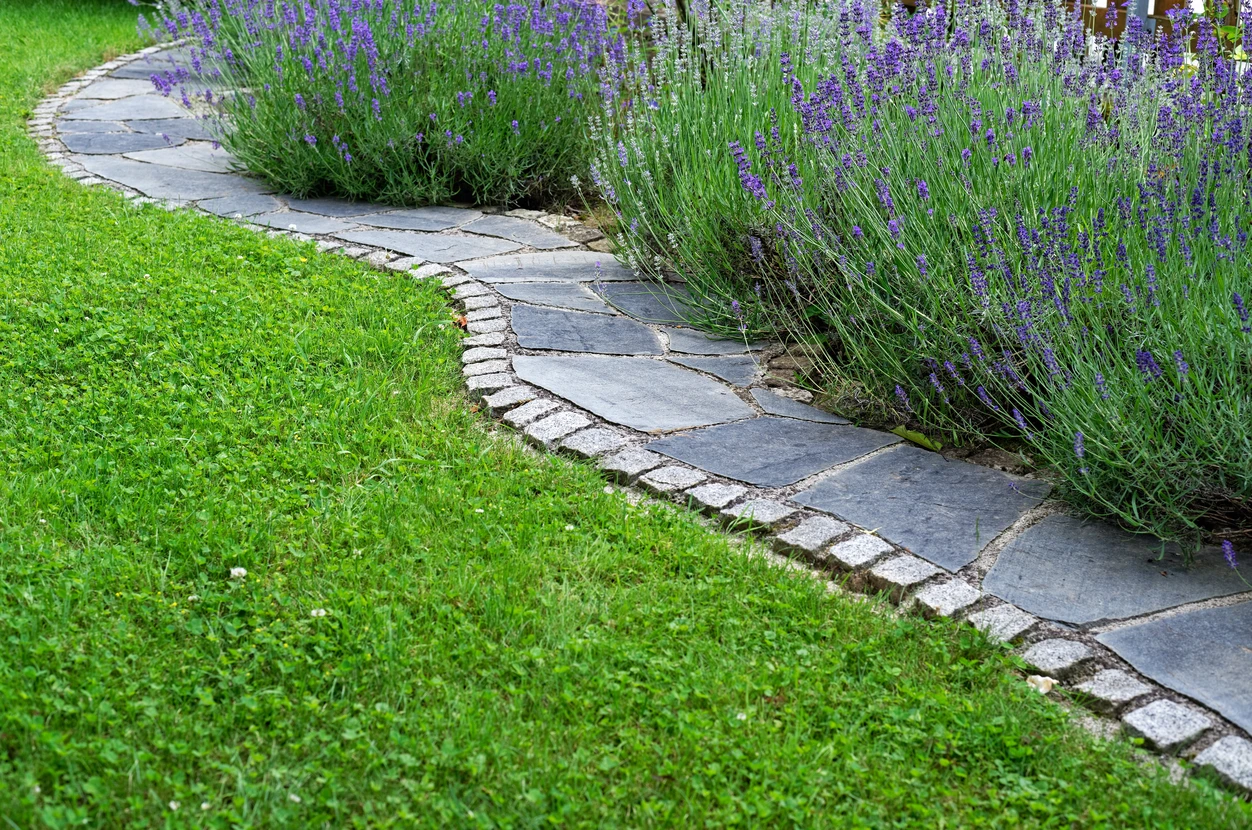 Jardin résidentiel avec pelouse verdoyante entretenue, clôture en bois naturel, aménagement paysager avec paillis brun et plantations périphériques