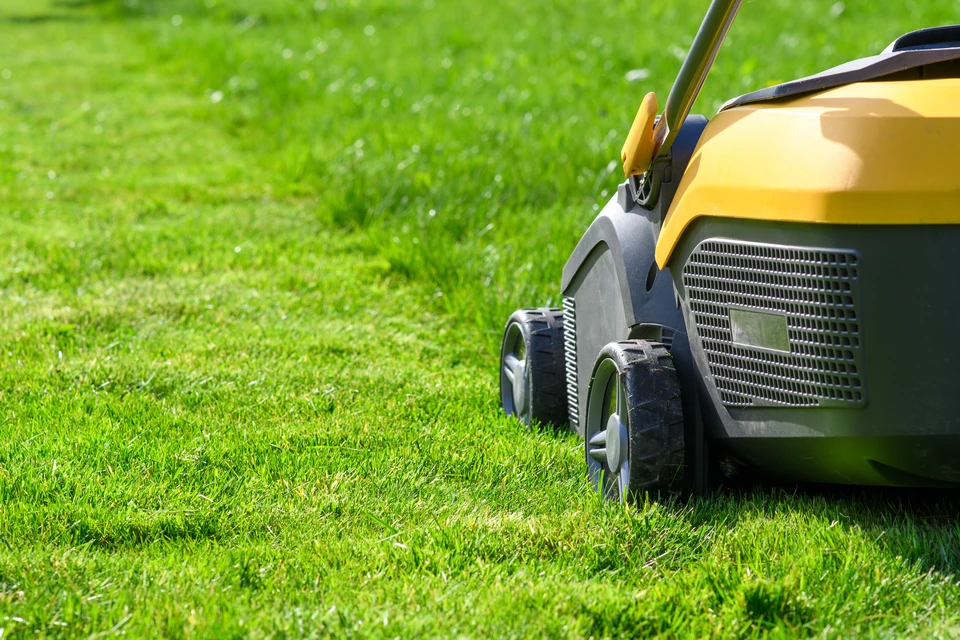 Jardinier professionnel en tenue de travail beige taille une haie de conifères dense avec un taille-haie télescopique à long manche dans un jardin paysagé extérieur