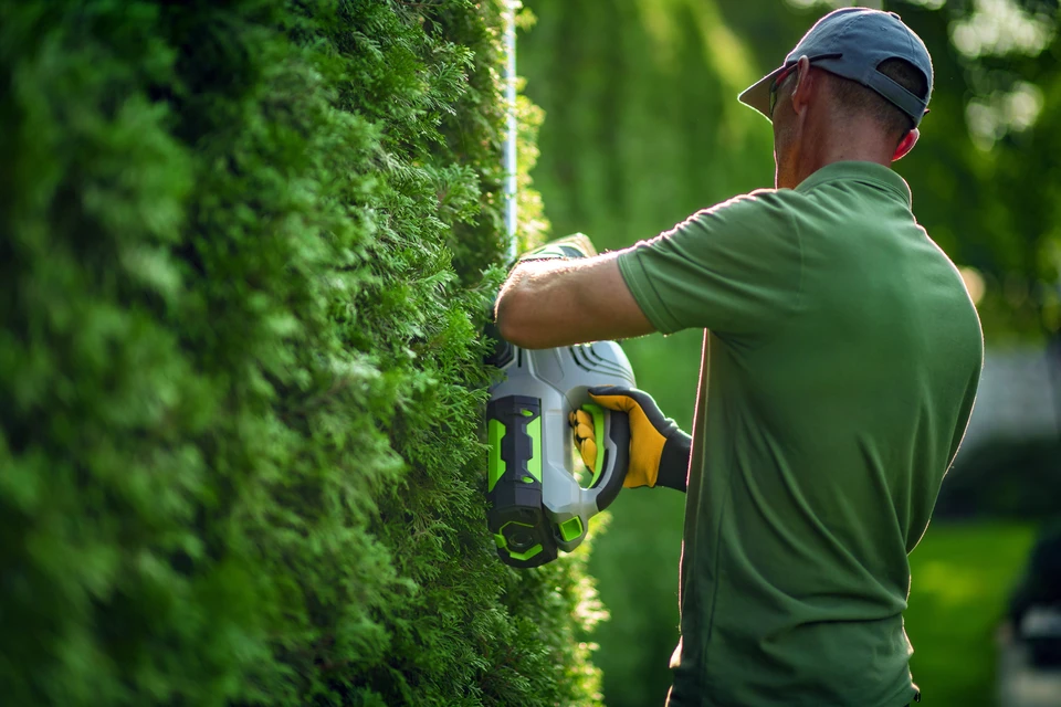 Un professionnel en tenue de travail verte effectue l'entretien d'espaces verts extérieurs avec un taille-haie motorisé