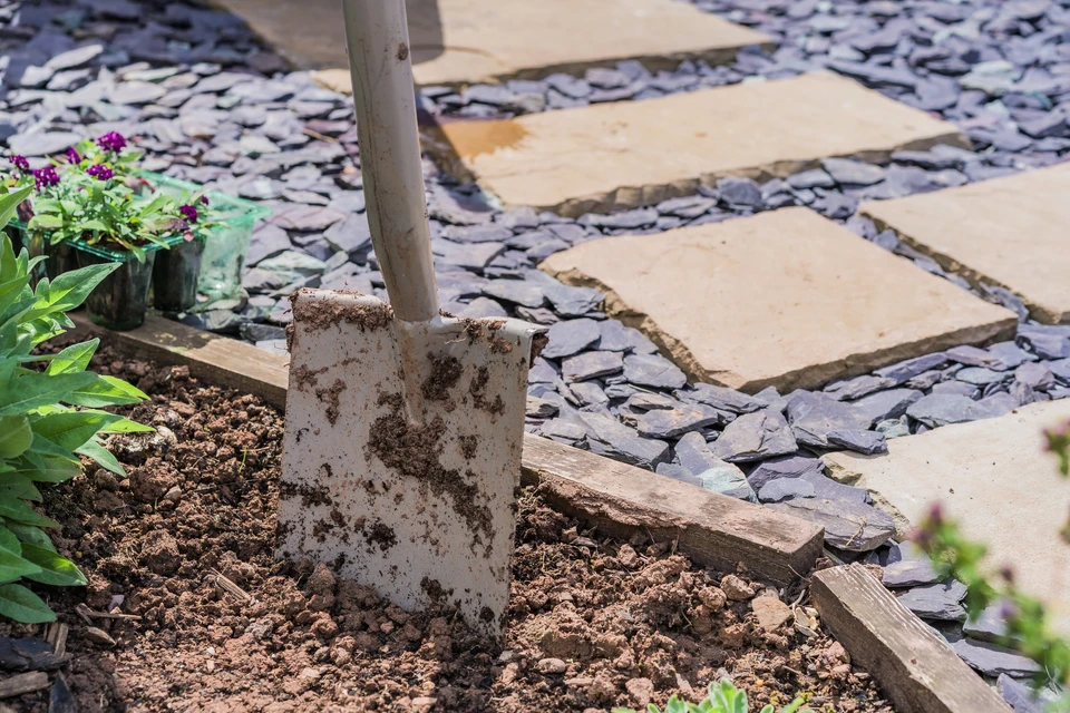 Scène extérieure de jardinage : deux personnes plantent un jeune arbre